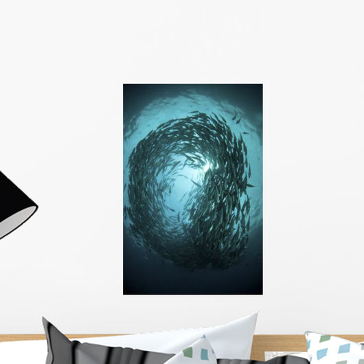 Circular School Trevally with Wall Decal Design 6