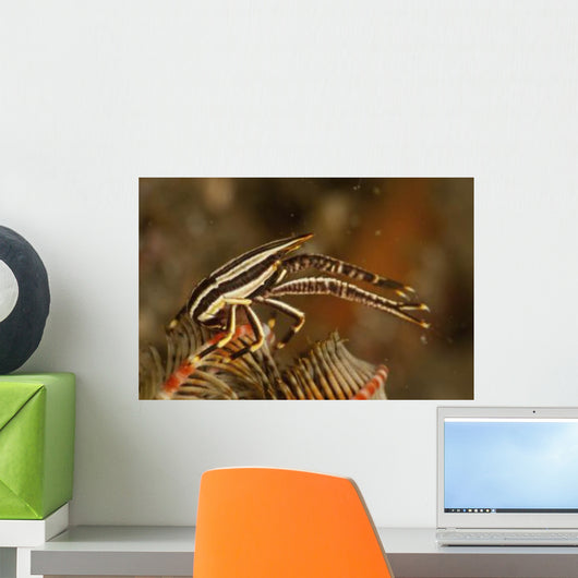 Brown and White Striped Wall Decal
