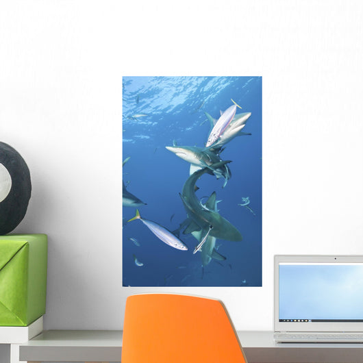 Oceanic Blacktip Sharks Vertical Wall Decal