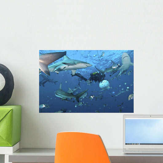 Oceanic Blacktip Sharks Waiting Wall Decal