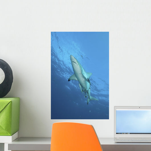 Oceanic Blacktip Shark Vertical Wall Decal