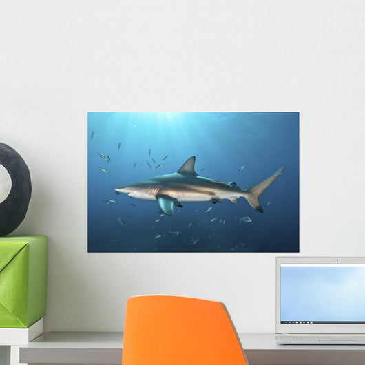 Oceanic Blacktip Shark with Fish Wall Decal