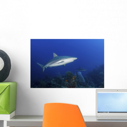 Pair Caribbean Reef Sharks Wall Decal