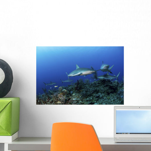 Caribbean Reef Sharks Swimming Horizontal Wall Decal