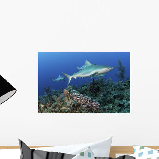 Several Caribbean Reef Sharks Ocean Wall Decal