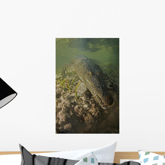 American Saltwater Crocodile Mangrove Wall Decal
