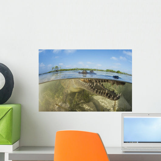 American Saltwater Crocodile Mangrove Water Surface Wall Decal
