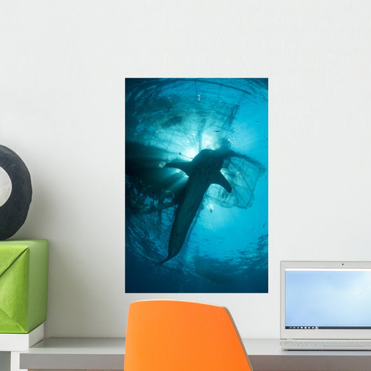 Whale Shark Swimming up Vertical Wall Decal