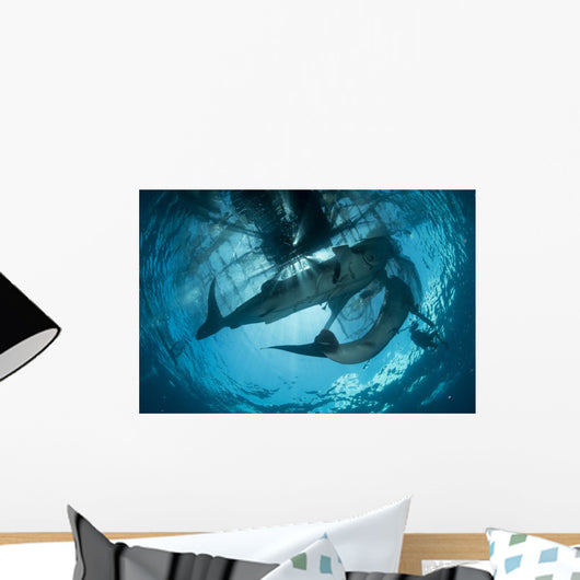Pair Whale Sharks Swimming Light Wall Decal