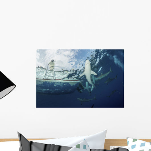 School Silky Sharks under Wall Decal
