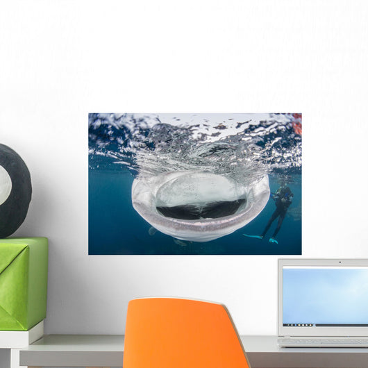 Whale Shark with Mouth Wall Decal