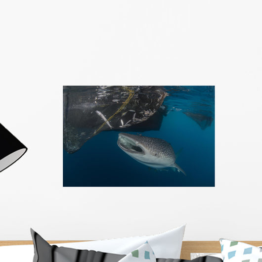Whale Shark Sucking Fishing Horizontal Wall Decal