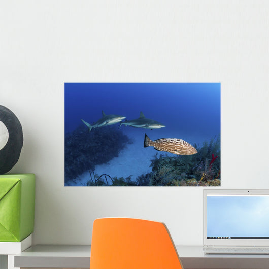 Several Caribbean Reef Sharks Wall Decal