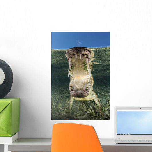 American Saltwater Crocodile Mangrove Mouth Wall Decal
