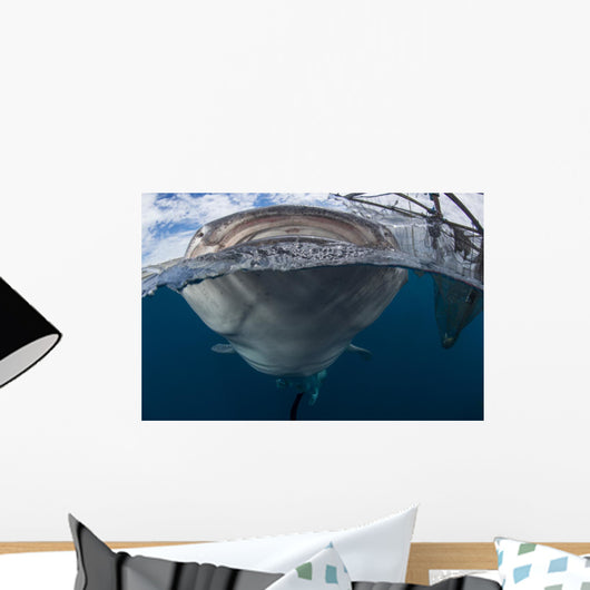 Whale Shark Breaching Surface Mouth Wall Decal