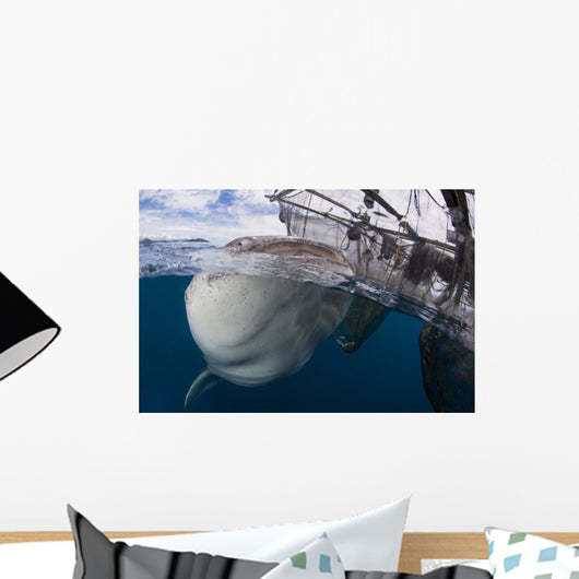 Whale Shark Breaching Surface Wall Decal