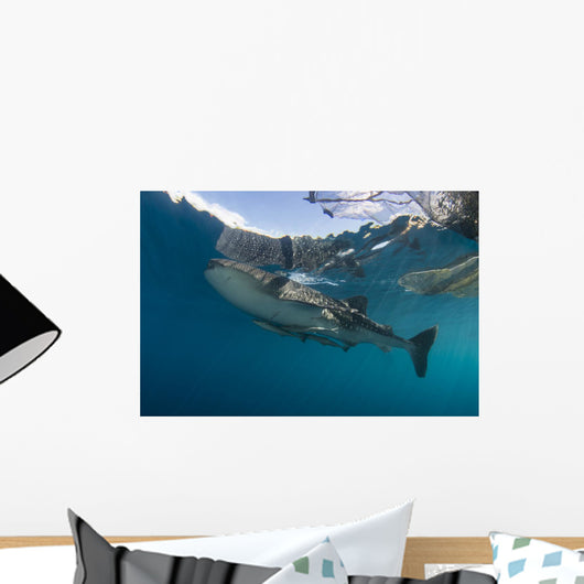 Whale Shark with Remora Horizontal Wall Decal