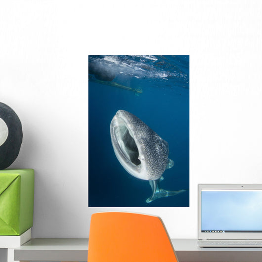 Whale Shark with Mouth Vertical Wall Decal