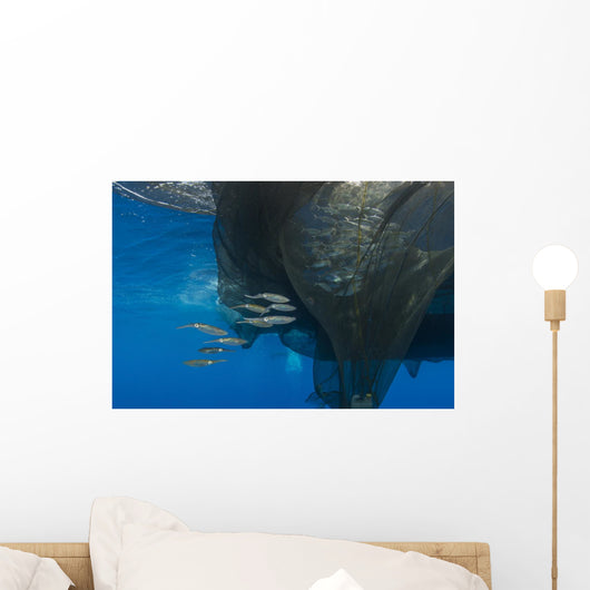 Group Squids Formation Wall Decal