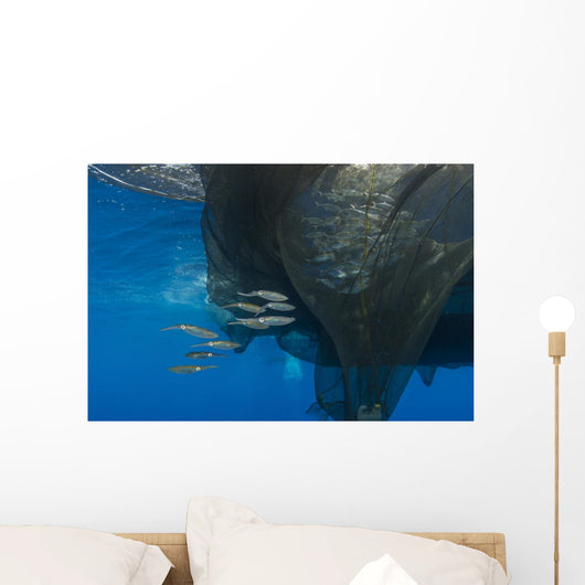 Group Squids Formation Wall Decal