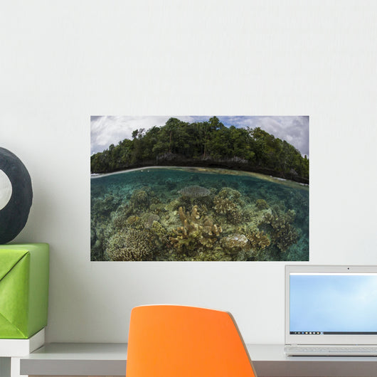 Split Image Shallow Hard Wall Decal