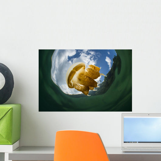 Golden Jellyfish Kakaban Lake Wall Decal