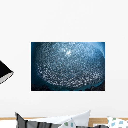 Massive School Millions Sardines Light Wall Decal