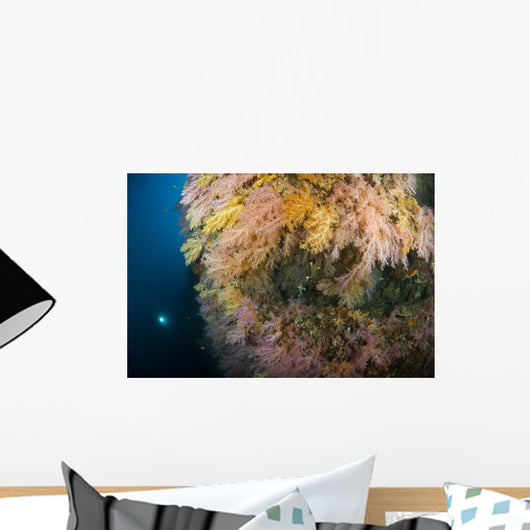 Diver Distance Shining His Wall Decal