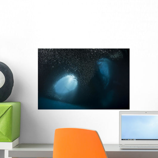 Massive School Millions Sardines Tunnels Wall Decal