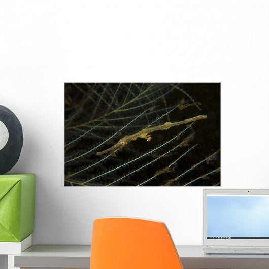 Yellow Juvenile Ghost Pipefish Wall Decal
