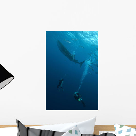 Divers Watching Whale Shark Wall Decal