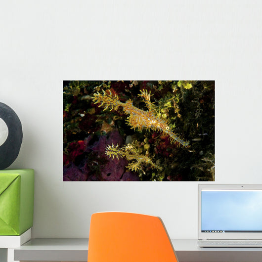 Juvenile Yellow and Red Wall Decal