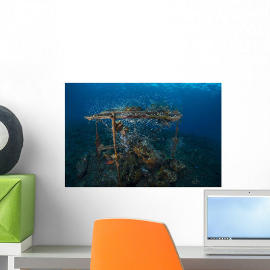 School Transparent Sweepers Submerged Wall Decal