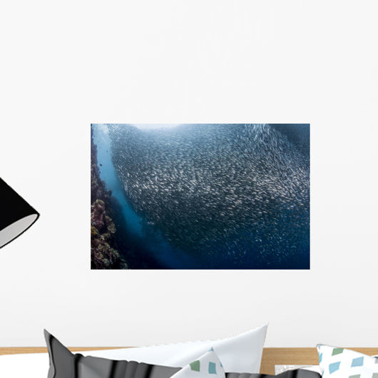 Massive School Millions Sardines Wall Decal