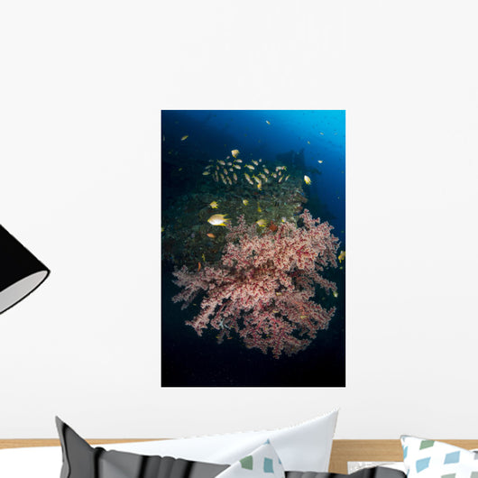 Damselfish and Blu-lined Snapper Wall Decal