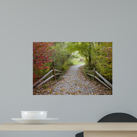 Deer in the Woods, Farmington Hills, Michigan Wall Mural