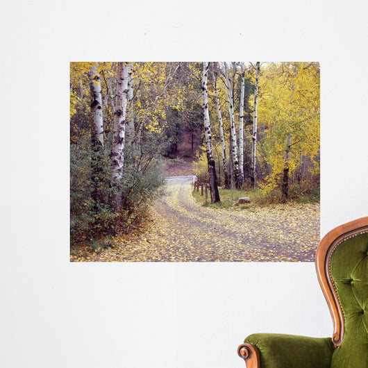 Birch Tree DriveFence & Road, Santa Fe, New Mexico 06 Wall Mural