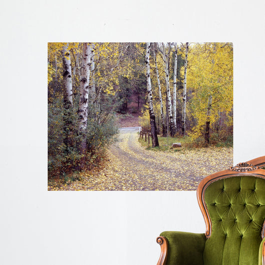 Birch Tree DriveFence & Road, Santa Fe, New Mexico 06 Wall Mural