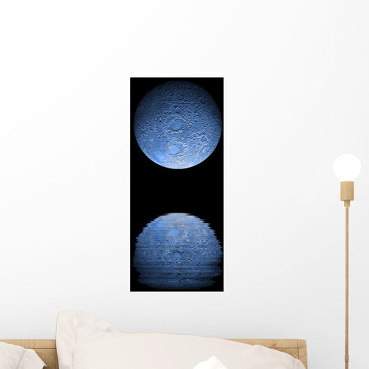 Artist's Depiction Heavily Cratered Moon Reflection Wall Decal