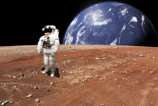 Astronaut Standing Barren World Horizontal Wall Decal
