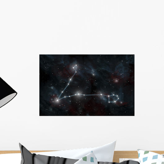 Artist's Depiction Constellation Pisces Wall Decal
