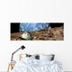 Astronaut Surveys His Situation Wall Decal