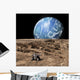 Rover Explores Rocky Barren Wall Decal