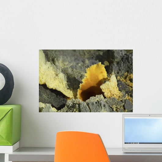 Papandayan Sulfur Cone Java Wall Decal