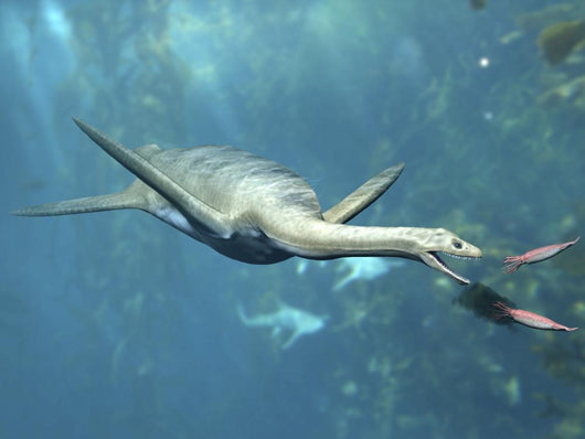 Kaiwhekea Plesiosaur Feeding Pair Wall Decal