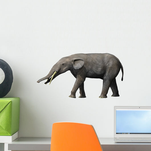 Gomphotherium Angustidens from Miocene Wall Decal