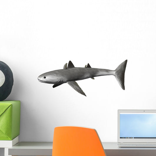 Cladoselache Fyleri Is Extinct Wall Decal