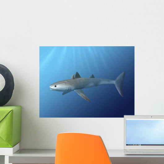 Cladoselache Fyleri Is Extinct Water Wall Decal