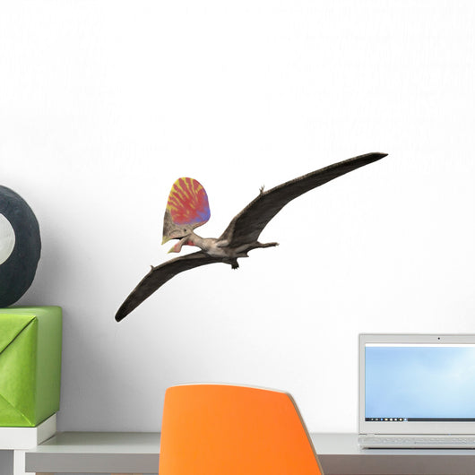 Tupandactylus Is Pterosaur from Wall Decal