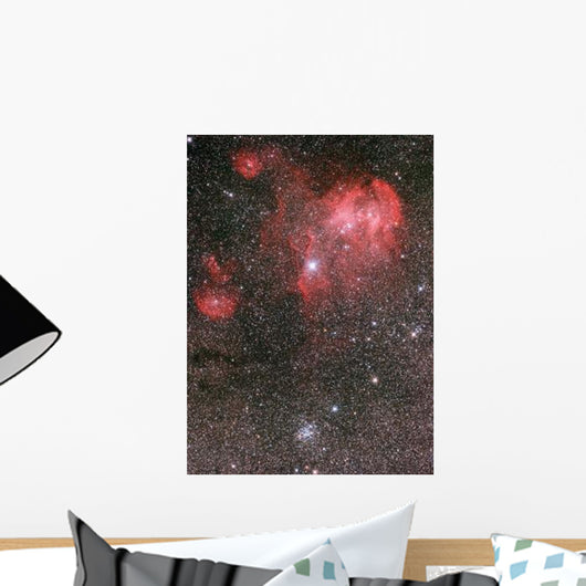 Bat Nebula Ic 2948 Wall Decal